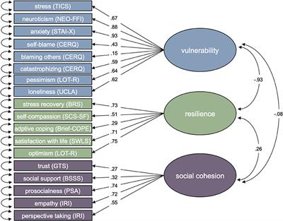 Exploring the Structure and Interrelations of Time-Stable Psychological Resilience, Psychological Vulnerability, and Social Cohesion